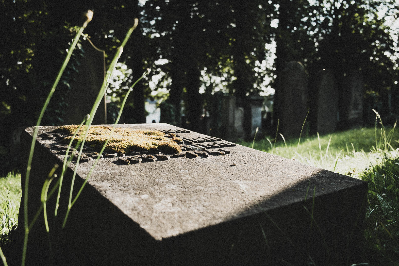 Jüdischer Friedhof Kassel-Bettenhausen
